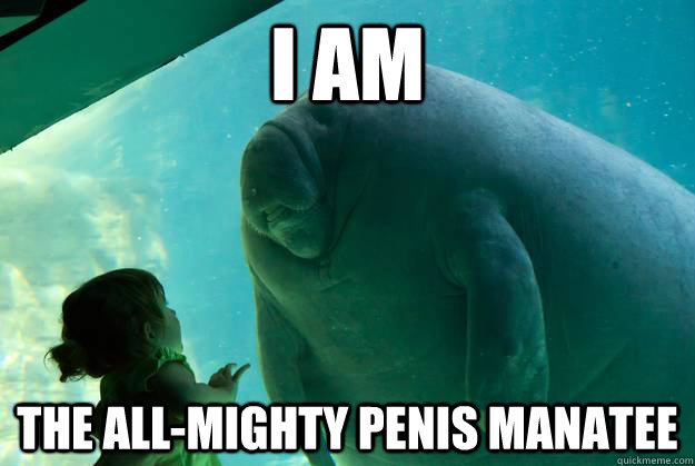 I am  The all-mighty penis manatee   Overlord Manatee