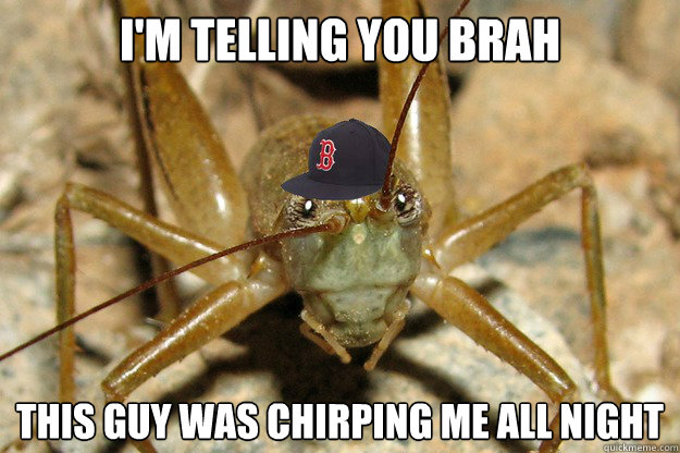 I'm telling you brah this guy was chirping me all night  Fraternity Cricket