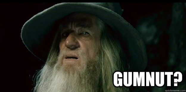  Gumnut? -  Gumnut?  I have no memory Gandalf