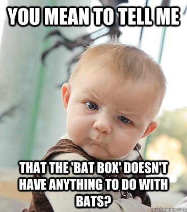 you mean to tell me that the 'bat box' doesn't have anything to do with bats?  - you mean to tell me that the 'bat box' doesn't have anything to do with bats?   skeptical baby