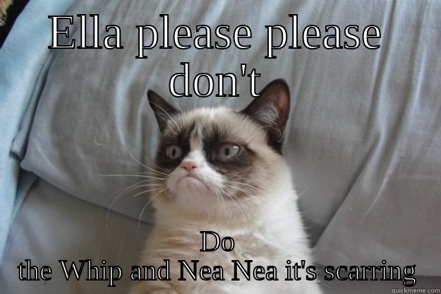 Ella meme - ELLA PLEASE PLEASE DON'T DO THE WHIP AND NEA NEA IT'S SCARRING Grumpy Cat