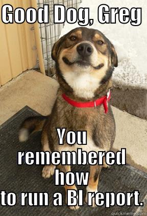 GOOD DOG, GREG  YOU REMEMBERED HOW TO RUN A BI REPORT. Good Dog Greg