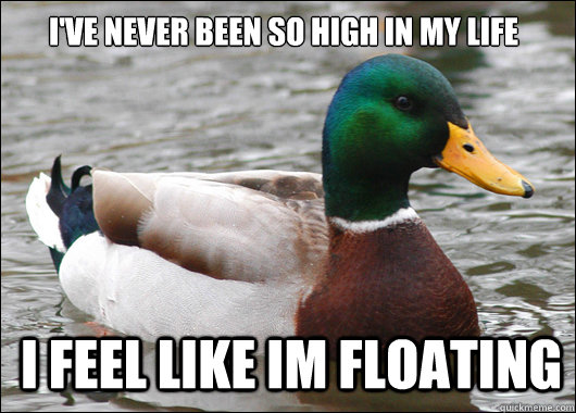 I'VE nEVER been so high in my life I feel like im floating  Actual Advice Mallard