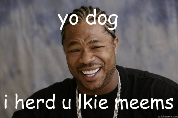 yo dog i herd u lkie meems  Xzibit meme