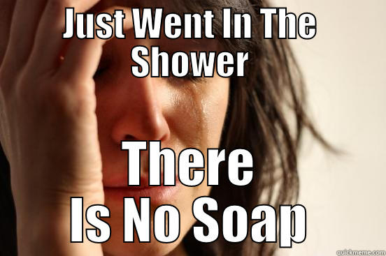 JUST WENT IN THE SHOWER THERE IS NO SOAP First World Problems