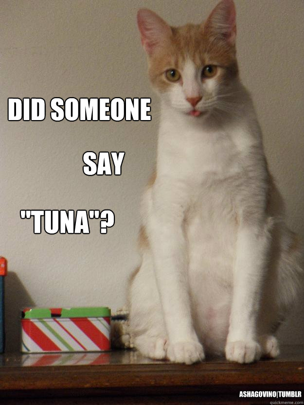 Did Someone Say "tuna"? ashagovinoTumblr Tuna quickmeme