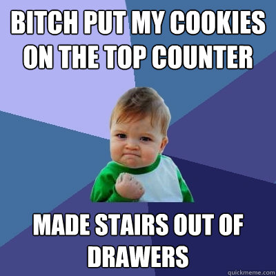 bitch put my cookies on the top counter made stairs out of drawers - bitch put my cookies on the top counter made stairs out of drawers  Success Kid