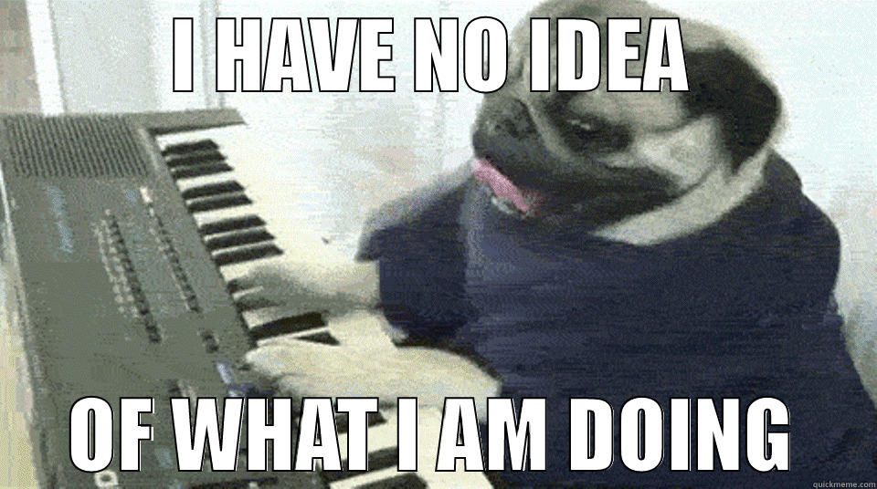 I HAVE NO IDEA OF WHAT I AM DOING Misc