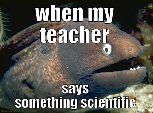 face  - WHEN MY TEACHER SAYS SOMETHING SCIENTIFIC Bad Joke Eel