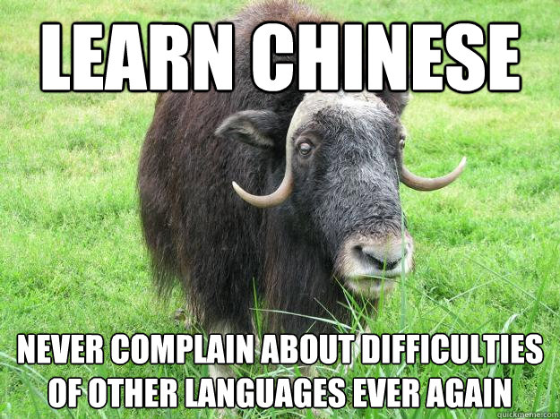 Learn Chinese Never complain about difficulties of other languages ever again  
