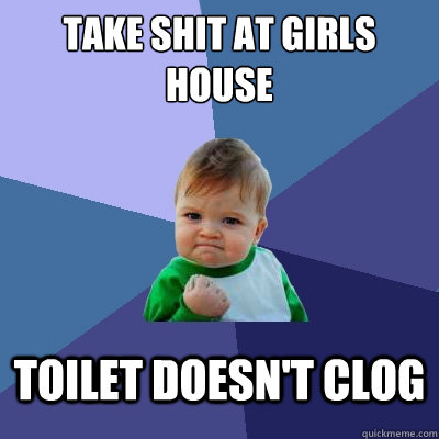 Take Shit At Girls house toilet doesn't clog  Success Kid