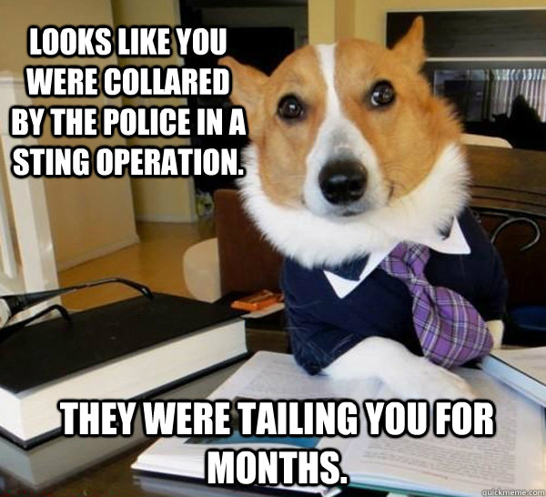 Looks like you were collared by the police in a sting operation. They were tailing you for months.  Lawyer Dog