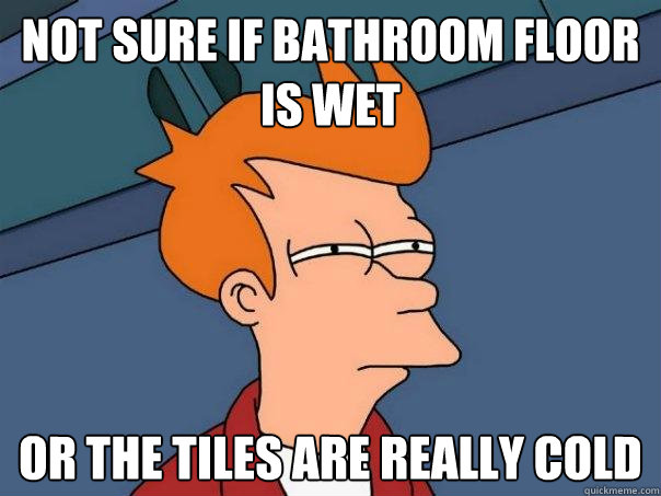 Not sure if bathroom floor is wet or the tiles are really cold  Futurama Fry