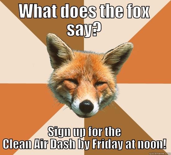 WHAT DOES THE FOX SAY? SIGN UP FOR THE CLEAN AIR DASH BY FRIDAY AT NOON! Condescending Fox