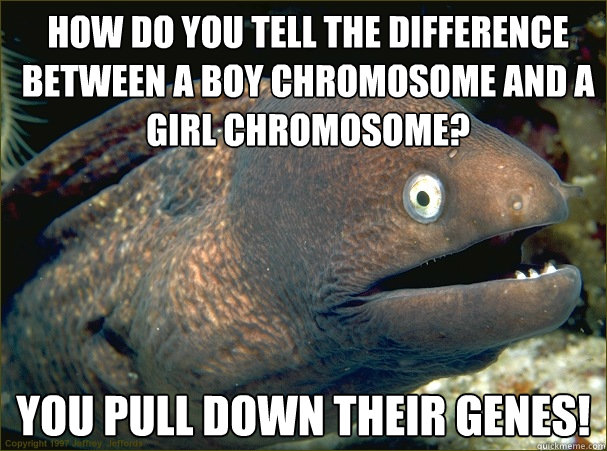 How do you tell the difference between a boy chromosome and a girl chromosome? You pull down their genes! - How do you tell the difference between a boy chromosome and a girl chromosome? You pull down their genes!  Bad Joke Eel