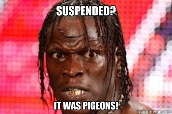 suspended? it was pigeons!  conspiracy r truth