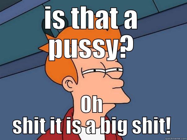 IS THAT A PUSSY? OH SHIT IT IS A BIG SHIT! Futurama Fry