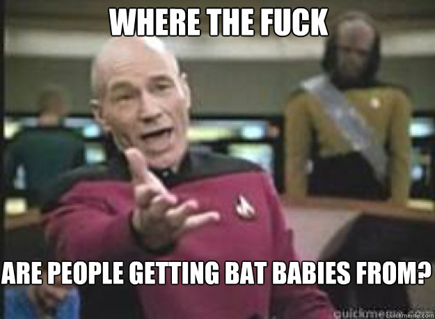 Where the fuck  are people getting bat babies from?  What the Fuck