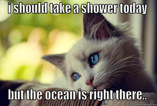 I SHOULD TAKE A SHOWER TODAY BUT THE OCEAN IS RIGHT THERE.. First World Problems Cat
