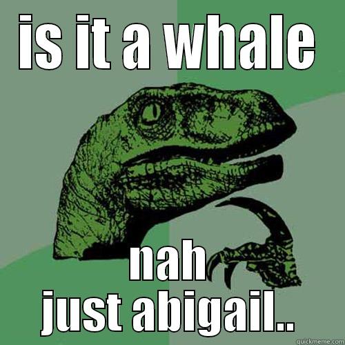 fat fucka hhalle - IS IT A WHALE NAH JUST ABIGAIL.. Philosoraptor