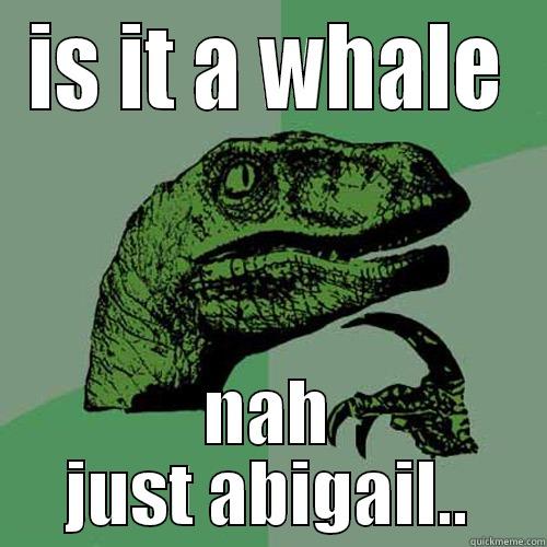 IS IT A WHALE NAH JUST ABIGAIL.. Philosoraptor