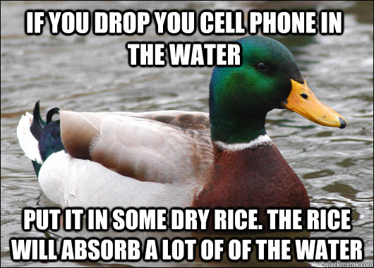 If you drop you cell phone in the water Put it in some dry rice. The rice will absorb a lot of of the water - If you drop you cell phone in the water Put it in some dry rice. The rice will absorb a lot of of the water  Actual Advice Mallard