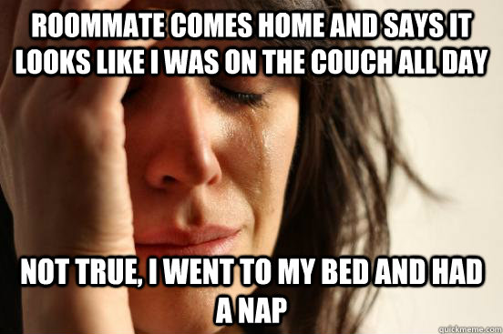 Roommate comes home and says it looks like I was on the couch all day Not true, I went to my bed and had a nap  First World Problems