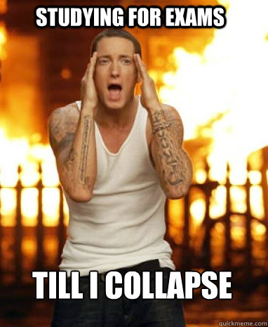 Studying for exams TILL i collapse  Till I Collapse