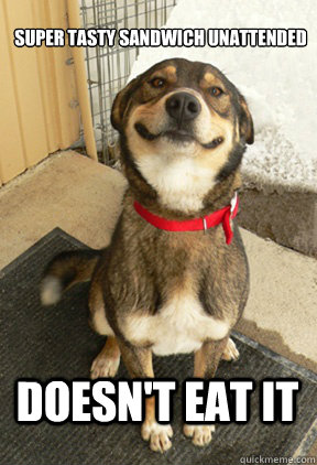 Super tasty sandwich unattended DOESN'T EAT IT  Good Dog Greg