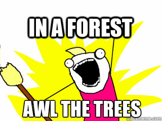 awl the trees in a forest  All The Thigns