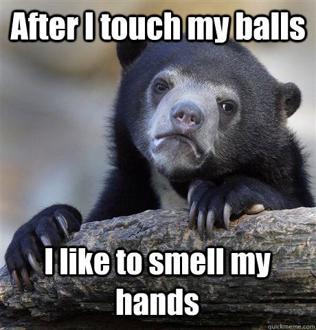After I touch my balls I like to smell my hands - After I touch my balls I like to smell my hands  Confession Bear
