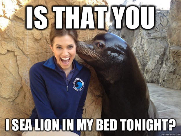 Is that you I Sea Lion in my bed tonight? - Is that you I Sea Lion in my bed tonight?  Sea Lion