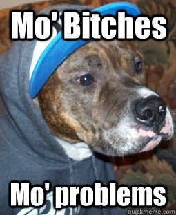 Mo' Bitches Mo' problems  