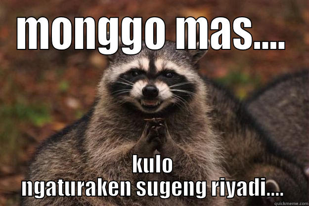 MONGGO MAS.... KULO NGATURAKEN SUGENG RIYADI.... Evil Plotting Raccoon