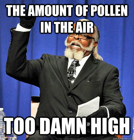 the amount of pollen in the air Too Damn high  Jimmy Mc Millian