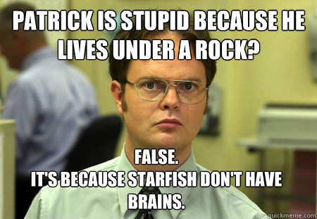 Patrick is stupid because he lives under a rock? False. 
It's because starfish don't have brains. - Patrick is stupid because he lives under a rock? False. 
It's because starfish don't have brains.  Dwight