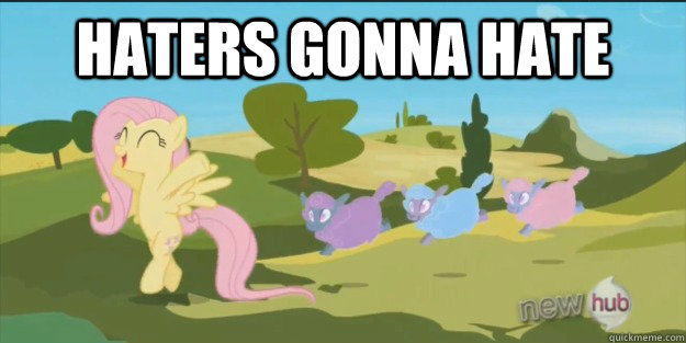 HATERS GONNA HATE  - HATERS GONNA HATE   Misc