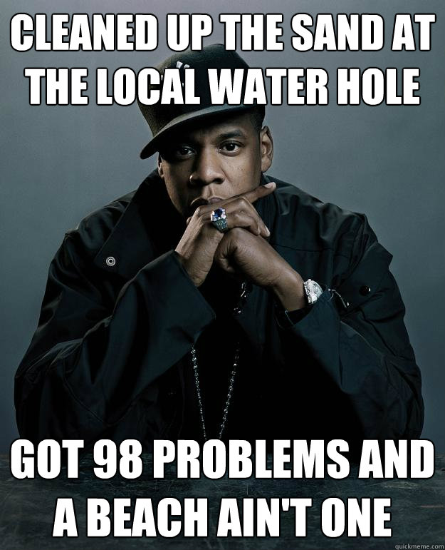 Cleaned up the sand at the local water hole got 98 problems and a beach ain't one  Jay Z Problems