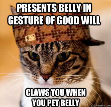 presents belly in gesture of good will claws you when you pet belly  