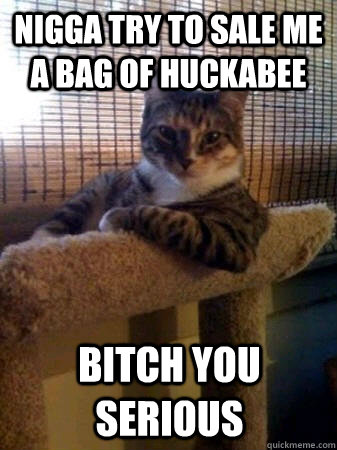 nigga try to sale me a bag of huckabee bitch you serious   The Most Interesting Cat in the World