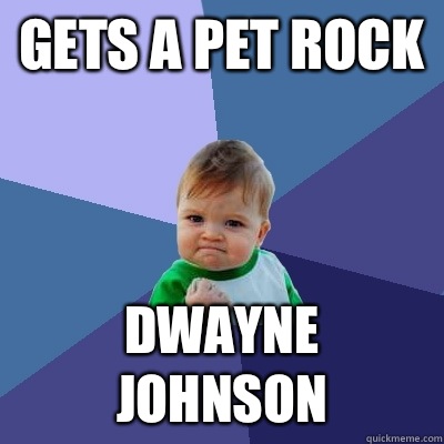 Gets a pet rock Dwayne Johnson   Success Kid
