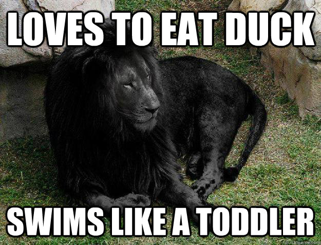 loves to eat duck swims like a toddler  Black Lion Problems