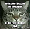 You cannot Imagine the Immensity Of the fuck I do not give  