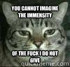 You cannot Imagine the Immensity Of the fuck I do not give - You cannot Imagine the Immensity Of the fuck I do not give  Apathy Cat