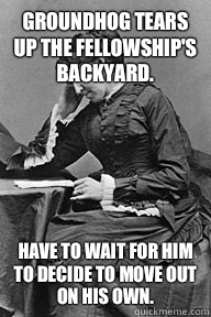 Groundhog tears up the fellowship's backyard.  Have to wait for him to decide to move out on his own.  - Groundhog tears up the fellowship's backyard.  Have to wait for him to decide to move out on his own.   UU Problems