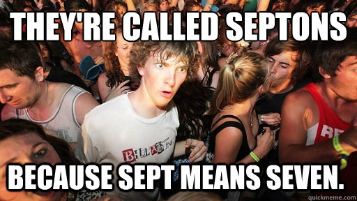 They're called Septons Because sept means seven.  Sudden Clarity Clarence