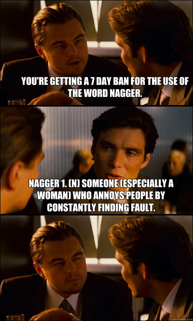 you're getting a 7 day ban for the use of the word nagger.  Nagger 1. (N) someone (especially a woman) who annoys people by constantly finding fault.   Inception
