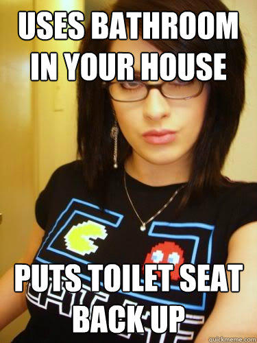 Uses bathroom in YOUR house Puts toilet seat back up  Cool Chick Carol