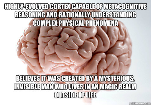 highly-evolved cortex capable of metacognitive reasoning and rationally understanding complex physical phenomena believes it was created by a mysterious, invisible man who lives in an magic realm outside of life   Scumbag Brain