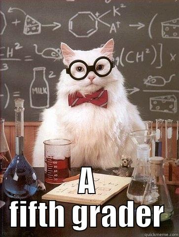 AND YES I AM SMARTER THEN  A FIFTH GRADER Chemistry Cat